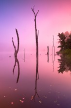Land Between the Lakes, fog, Duncan Lake, reflection